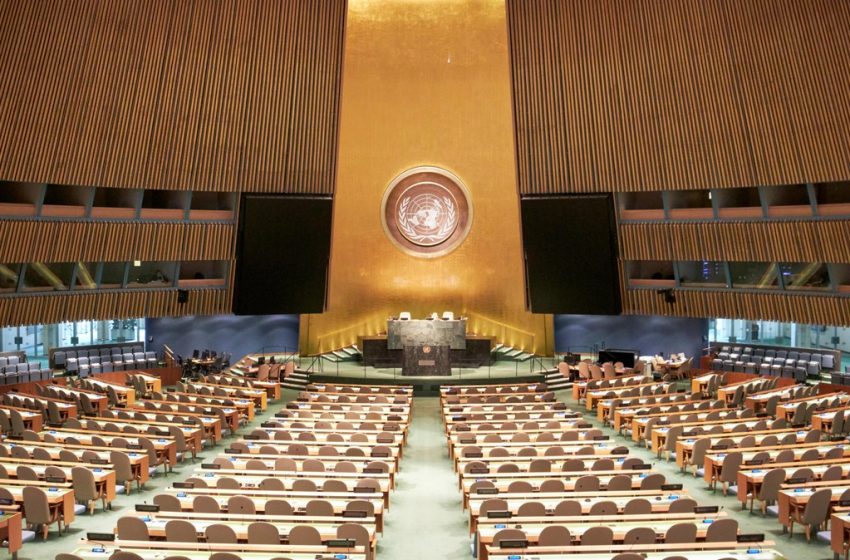  ‘Functional Immunity’: The Complicated Path to Justice for Sexual Assault Survivors at the UN