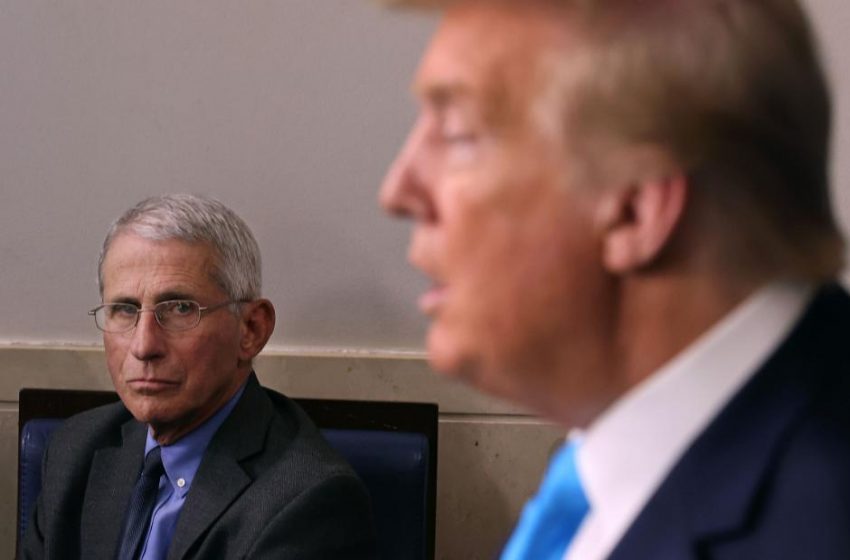  Fauci says he is ‘absolutely not’ surprised Trump got Covid-19