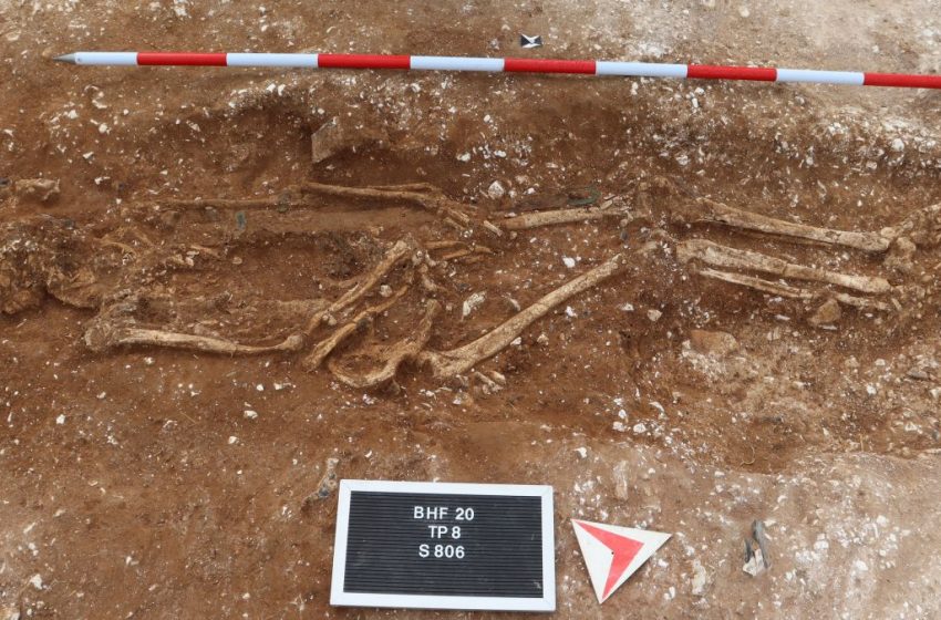  Anglo-Saxon warlord unearthed by metal detector hobbyists
