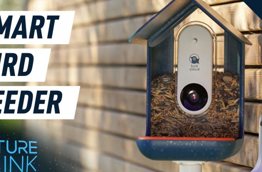  Your new BFF could be a bird with this smart bird feeder — Future Blink