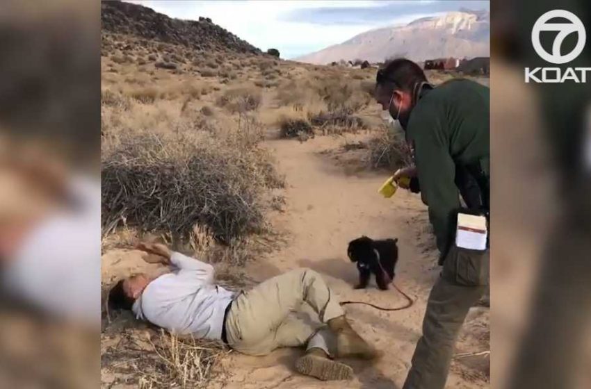  Park Ranger caught on camera tasing Native American man hiking off trail