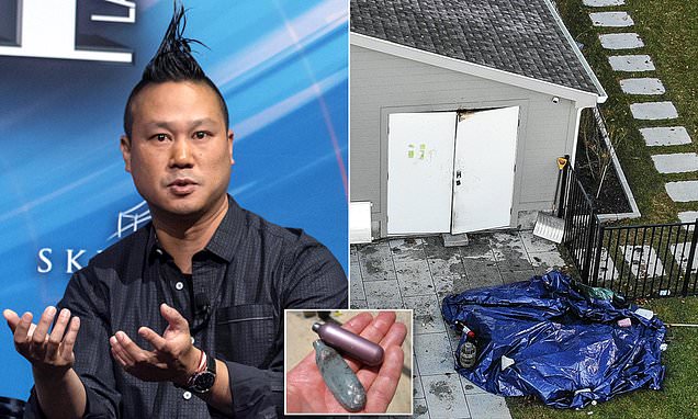  Zappos founder Tony Hseih was planning to enter rehab in Hawaii for mushroom and ecstasy abuse