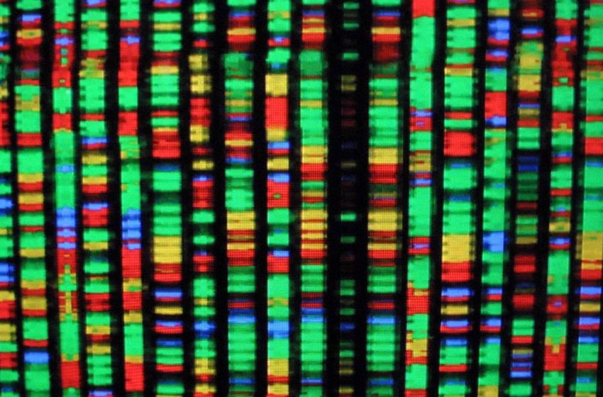  Artificial Human Genomes Could Help Overcome Research Privacy Concerns