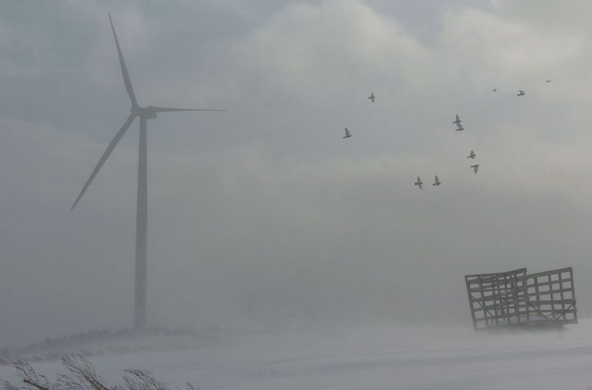  Why wind turbines in New York keep working in bitter cold weather unlike the ones in Texas