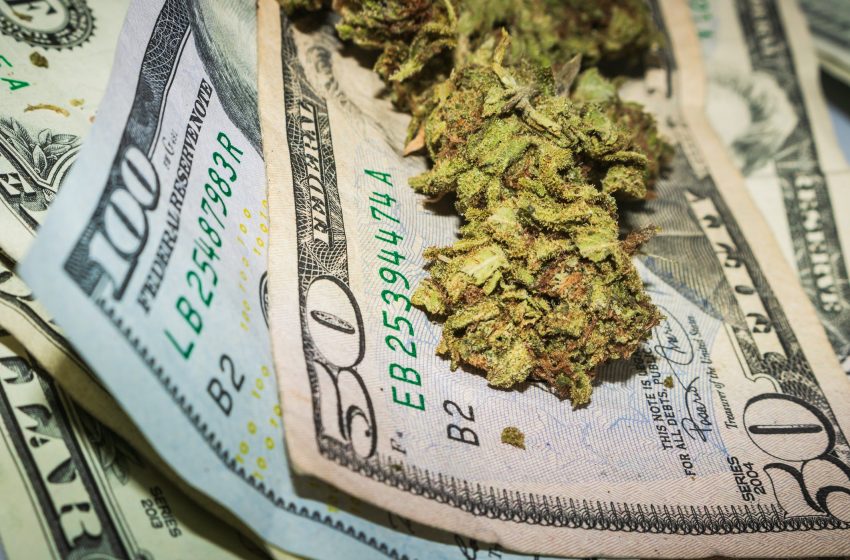 3 Marijuana Stocks That Could Be Millionaire Makers