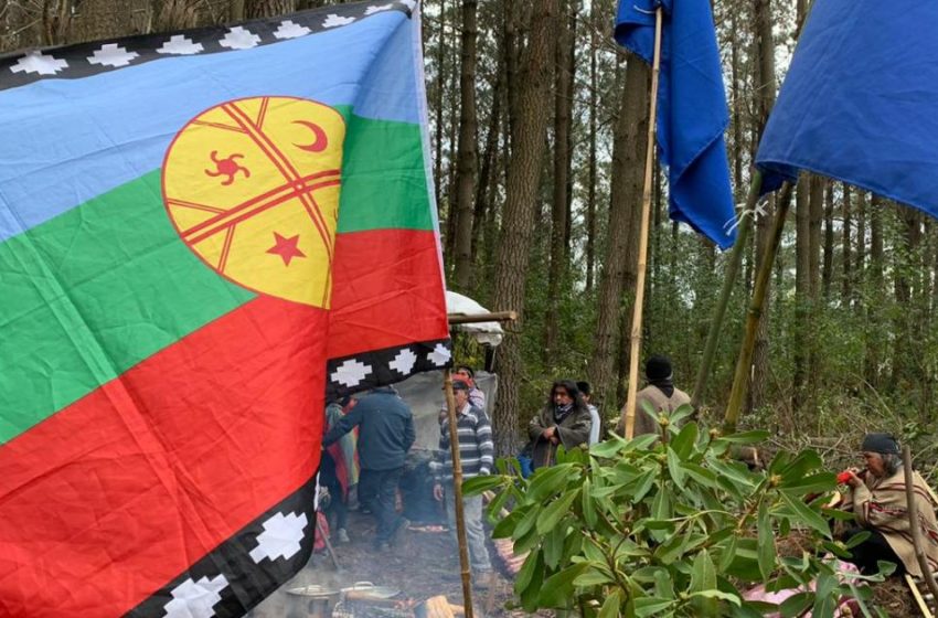  A journey through Chile’s conflict with Mapuche resistance groups
