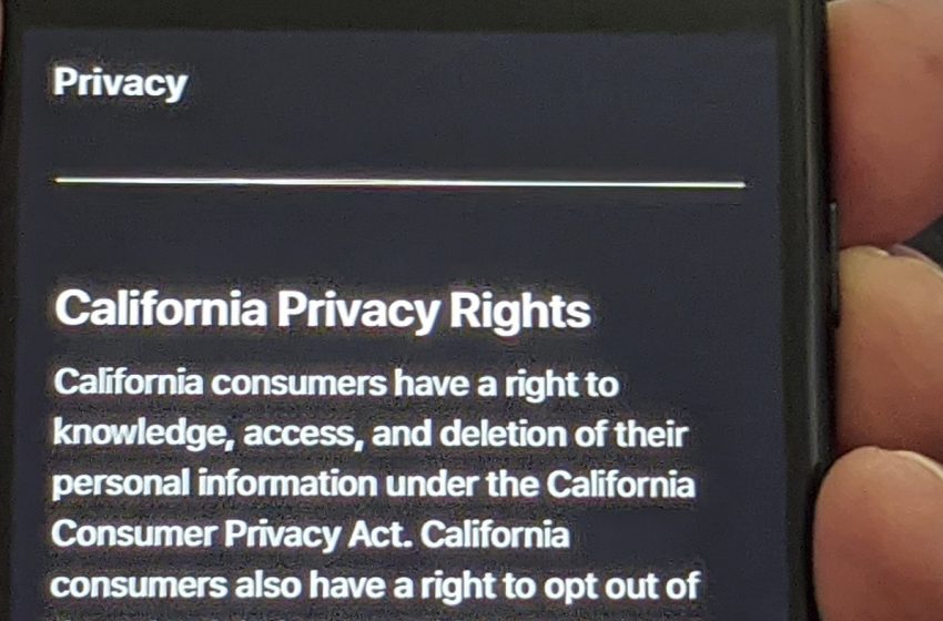  States Fight Over How Our Data Is Tracked And Sold Online, As Congress Stalls
