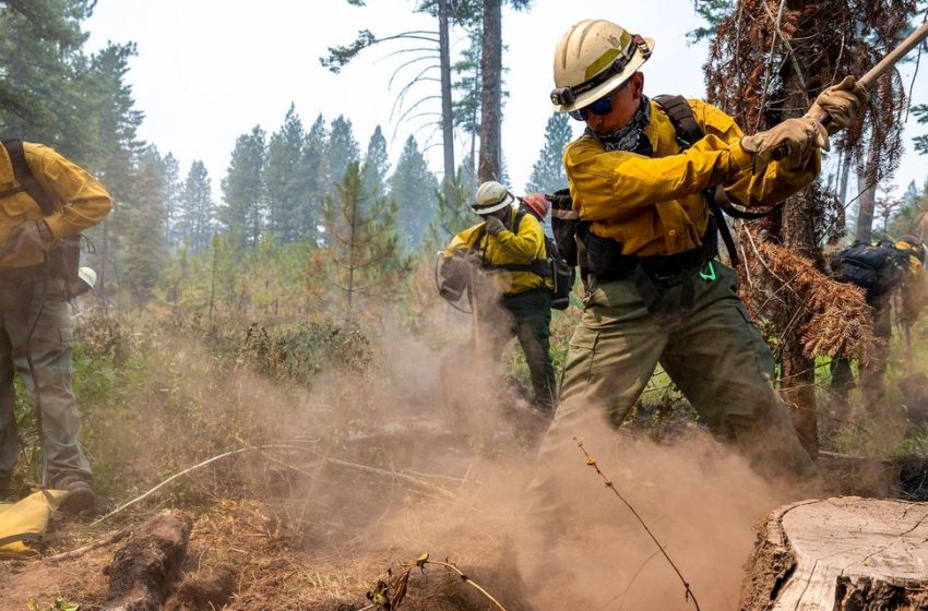  Wildfires Ravaging California and 12 Other States Put Firefighters in High Demand