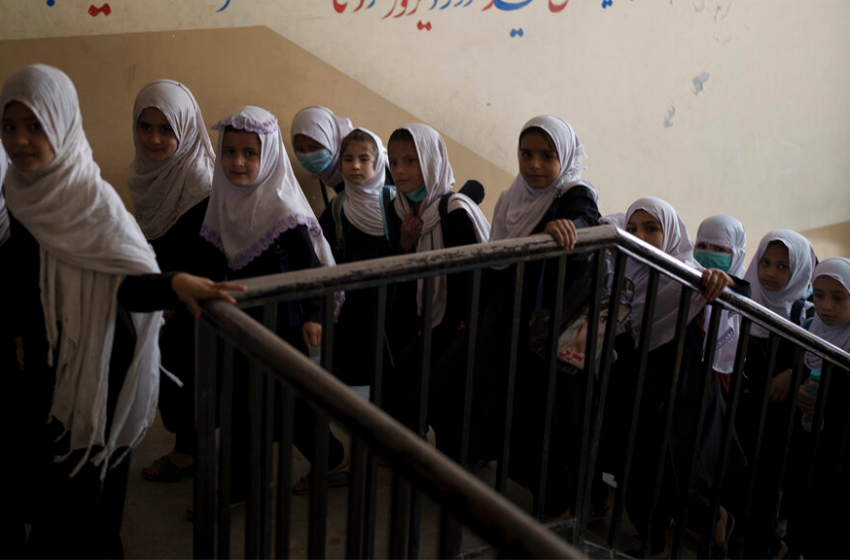  Taliban: Women can study in gender-segregated universities