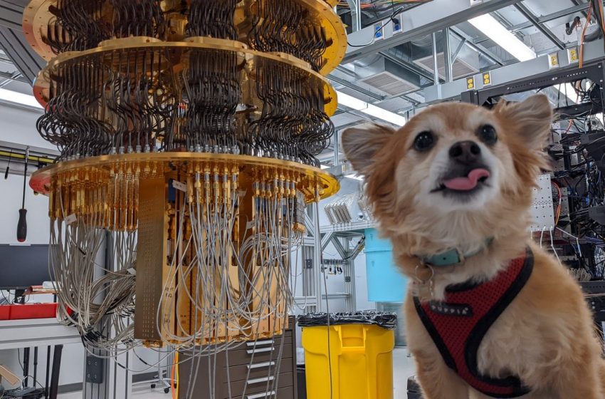  Qubit the dog on the big questions in quantum computing