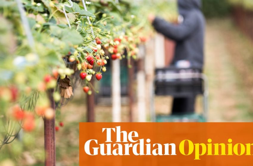  It was Tory governments that created the low-wage economy – not immigration | Felicity Lawrence