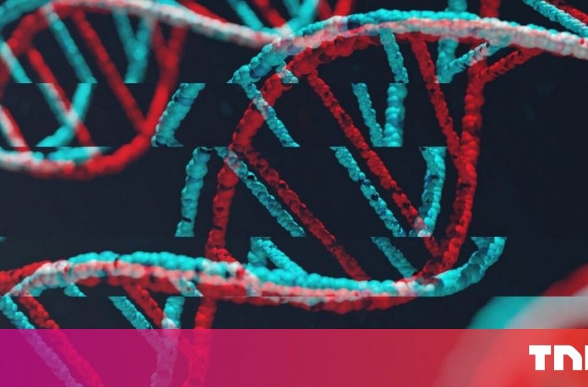  Australia’s police linking DNA with ancestry could be a privacy nightmare