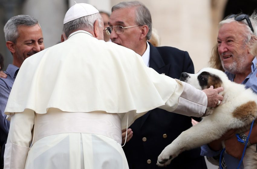 Don’t choose pets over children, Pope Francis says as birthrates drop