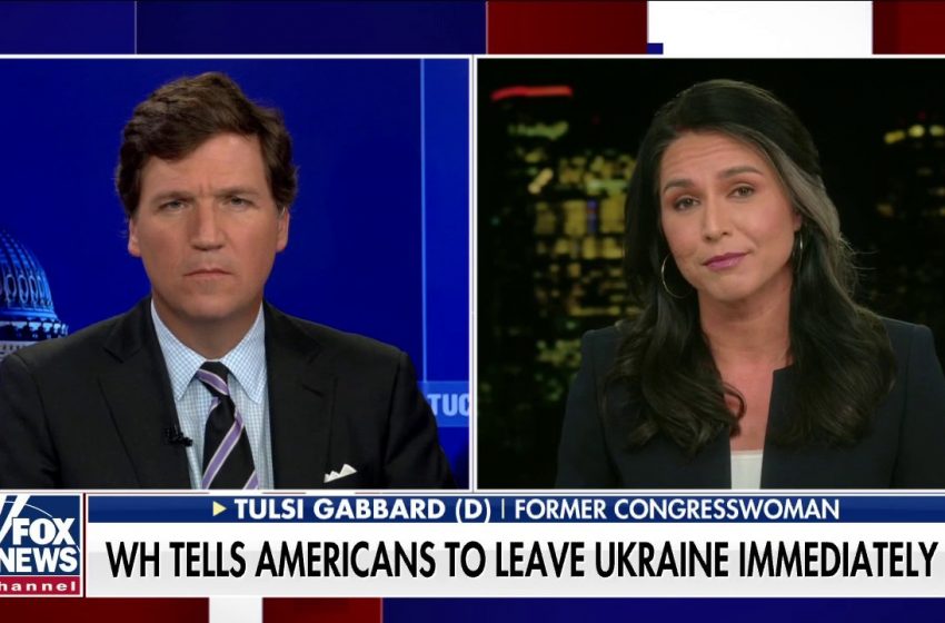 Americans have yet to see a justification for Ukraine joining NATO: Tulsi Gabbard