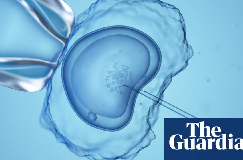  UK fertility watchdog could recommend scrapping donor anonymity law