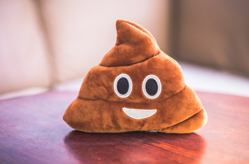  Artificial Intelligence Can Now Accurately Describe Your Poop