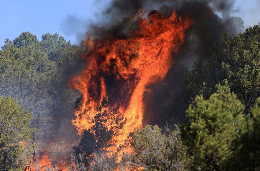 Forest Service says it started all of New Mexico’s largest wildfire