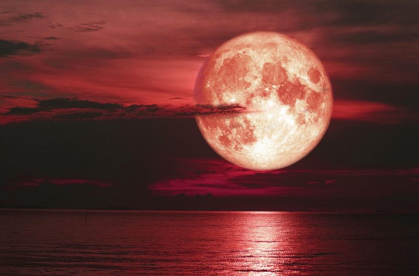  Don’t Miss: The Strawberry Supermoon