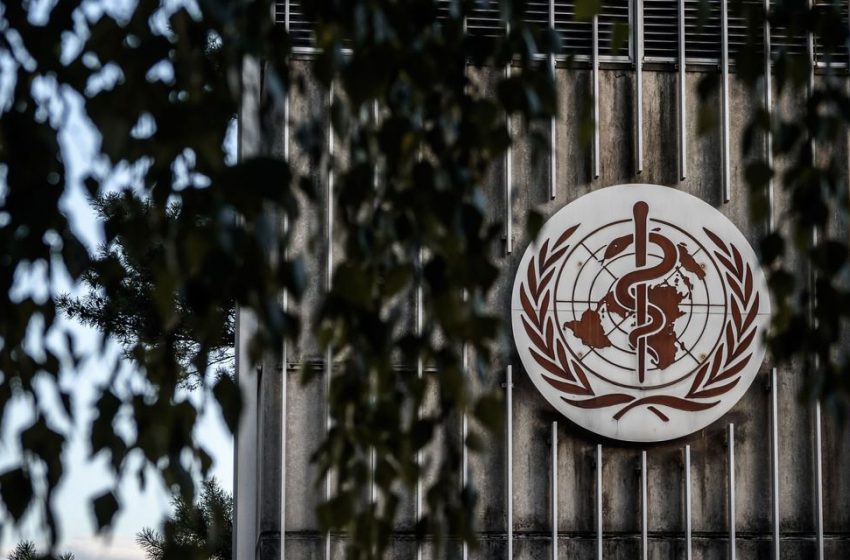 WHO Declares Monkeypox a Global Health Emergency
