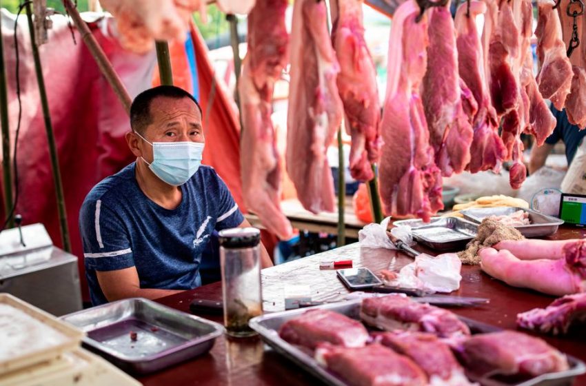  New studies agree that animals sold at Wuhan market are most likely what started Covid-19 pandemic