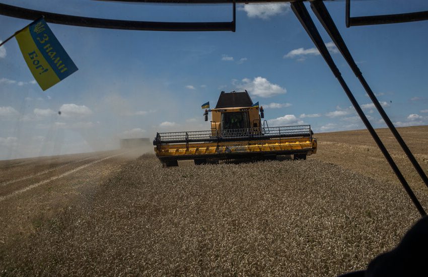  Crops ‘Stored Everywhere’: Ukraine’s Harvest Piles Up