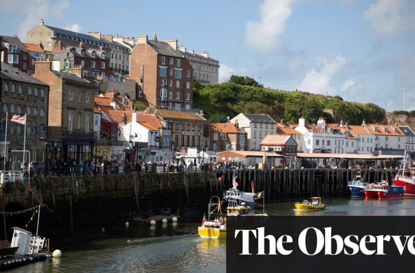  ‘We just want the truth’: British coastal towns fight for answers over mystery sealife deaths