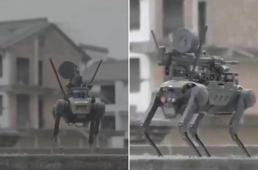  Terrifying video shows Chinese robot attack dog with machine gun dropped by drone
