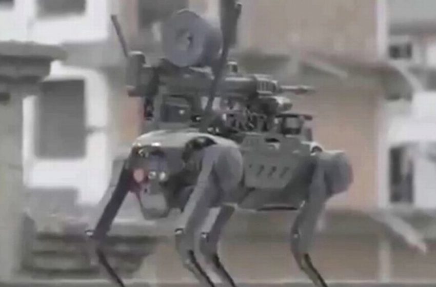  China shows off robot dog armed with machine gun dropped by drone into battle