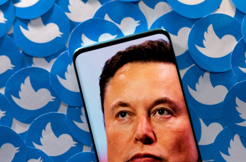  The Indian law that might trip up Musk’s $8 blue tick plans