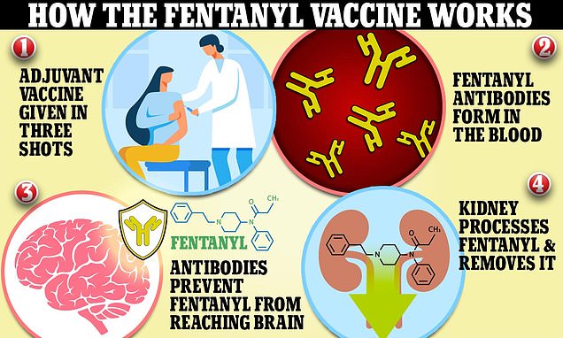  Scientists create vaccine for FENTANYL