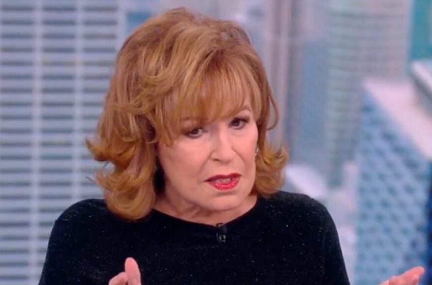  ‘The View’ Hosts Scoff at ‘Chrisley Knows Best’ Sentences: Trump Gets to Run Again ‘And These 2 Idiots Are Going to Prison’