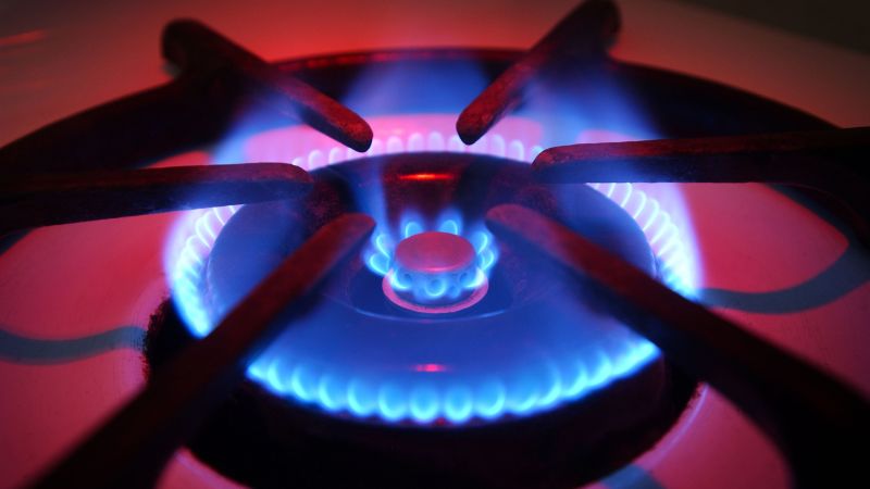  A US federal agency is considering a ban on gas stoves, report says