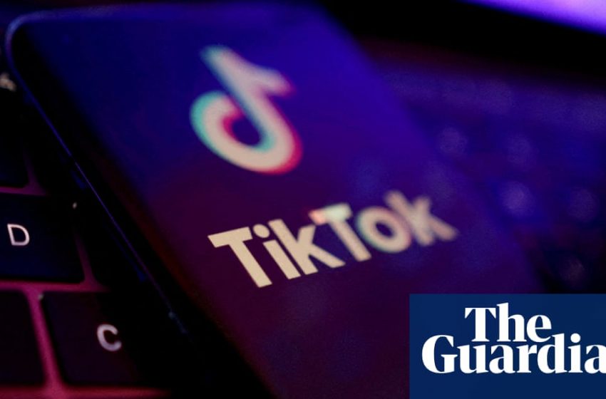  TikTok unveils European data security plan amid calls for US ban