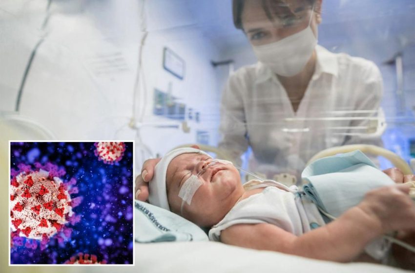  2 babies born with brain damage after moms tested positive for COVID-19 during pregnancy, study reveals