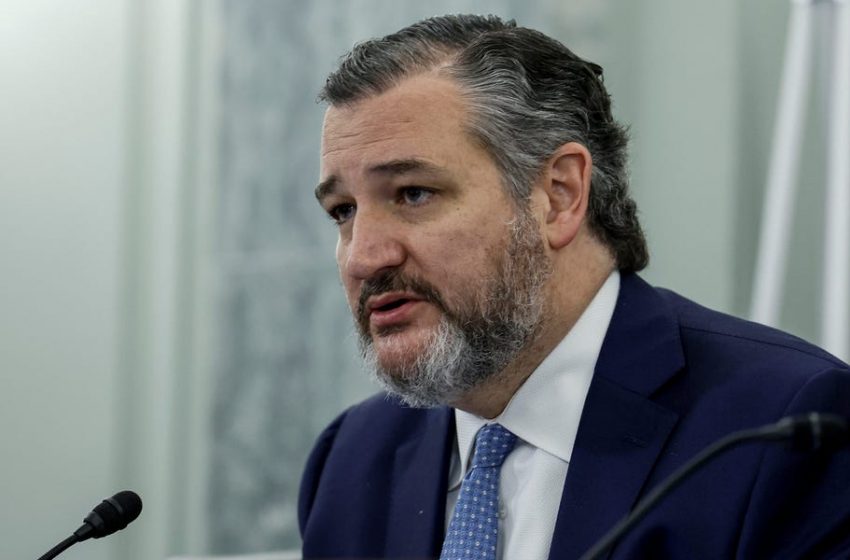  Ted Cruz, one of Trump’s staunchest MAGA allies, was begging Fox News behind the scenes to show ‘demonstrable facts’ and evidence before repeating Trump’s 2020 election lies
