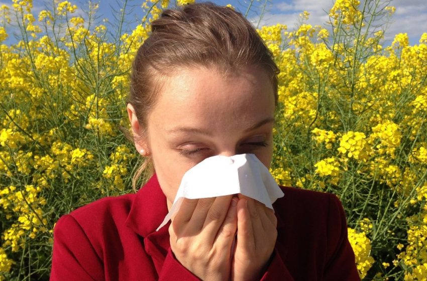  How Seasonal Allergies Affect Our Bodies and Brains