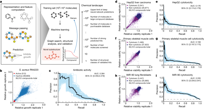  Discovery of a structural class of antibiotics with explainable deep learning