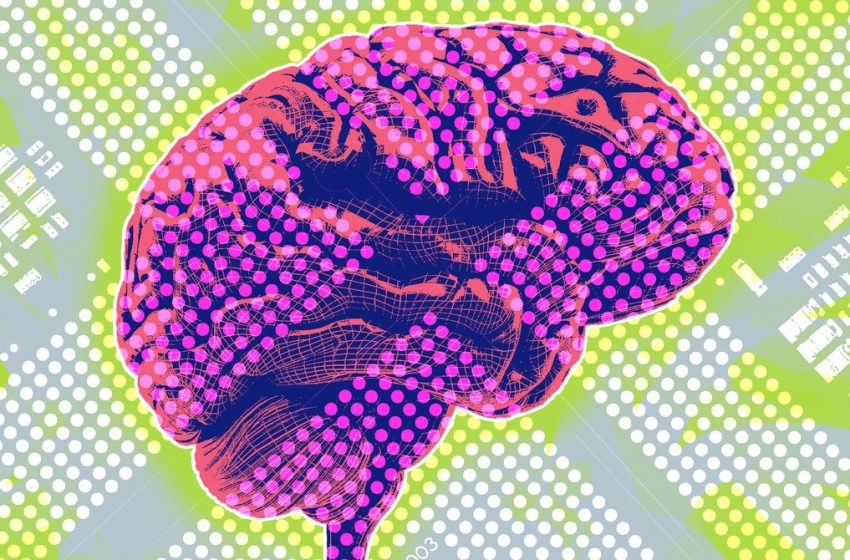  The Race to Put Brain Implants in People Is Heating Up