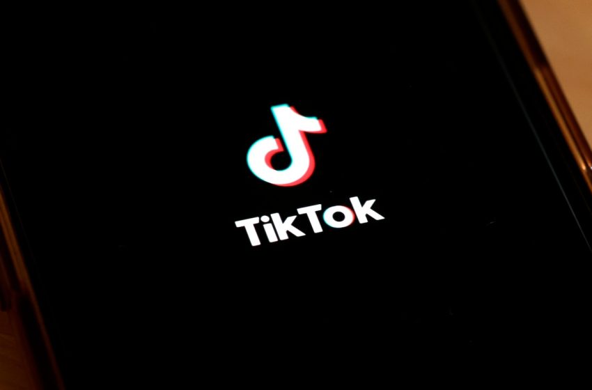 Experts say banning TikTok won’t solve security concerns: ANALYSIS
