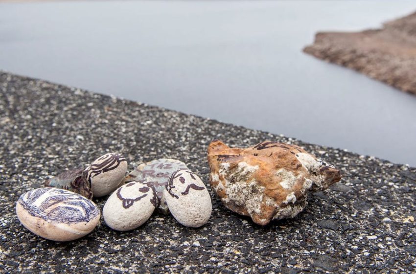  South Koreans are dealing with burnout and loneliness by getting pet rocks